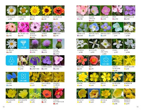 花種類|花の名前を調べる